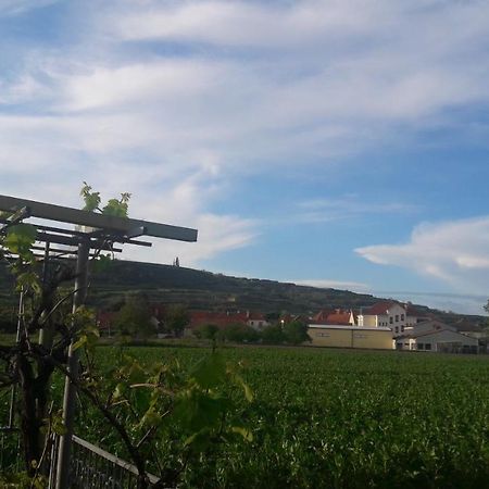 Pansion Brda Apartment Rohrendorf bei Krems ภายนอก รูปภาพ