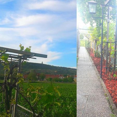 Pansion Brda Apartment Rohrendorf bei Krems ภายนอก รูปภาพ
