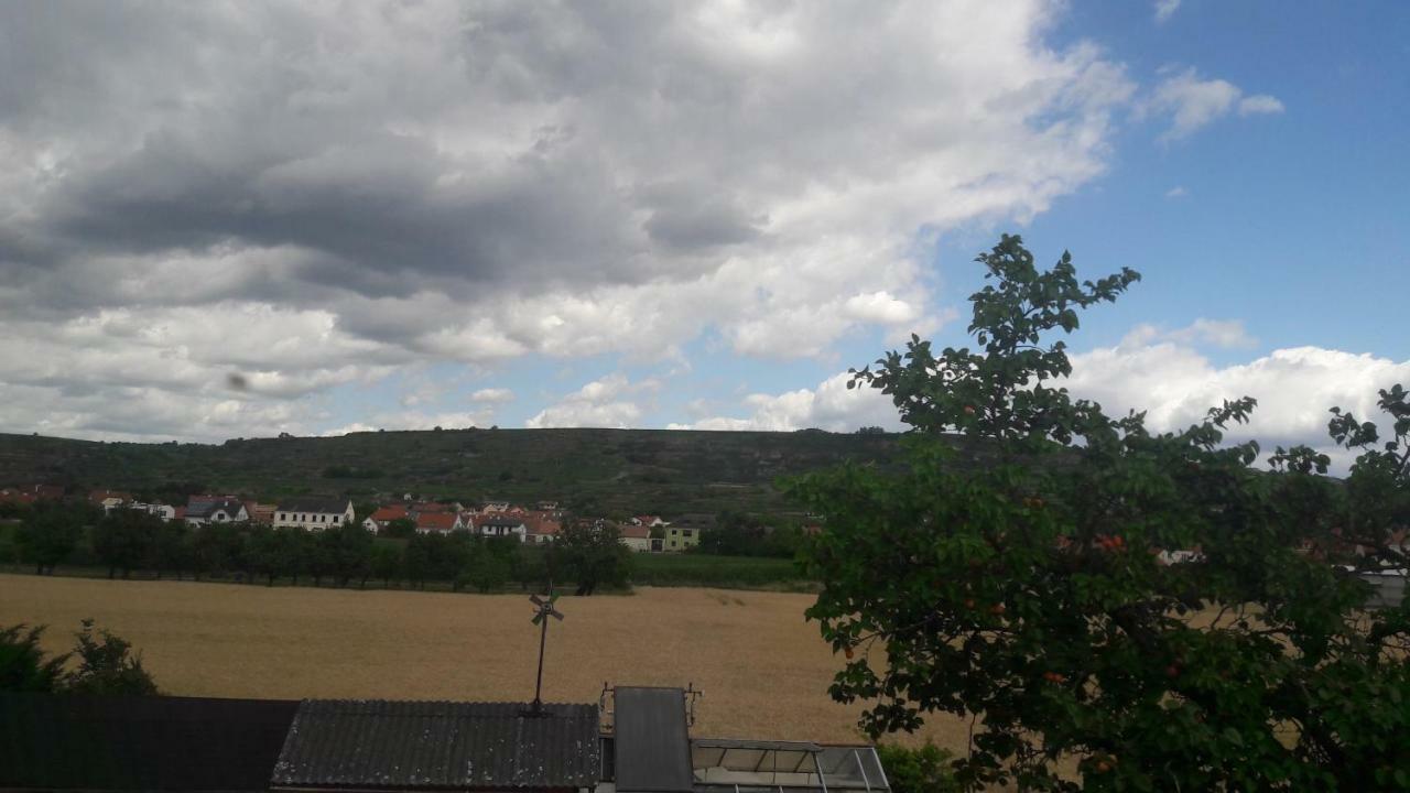 Pansion Brda Apartment Rohrendorf bei Krems ภายนอก รูปภาพ